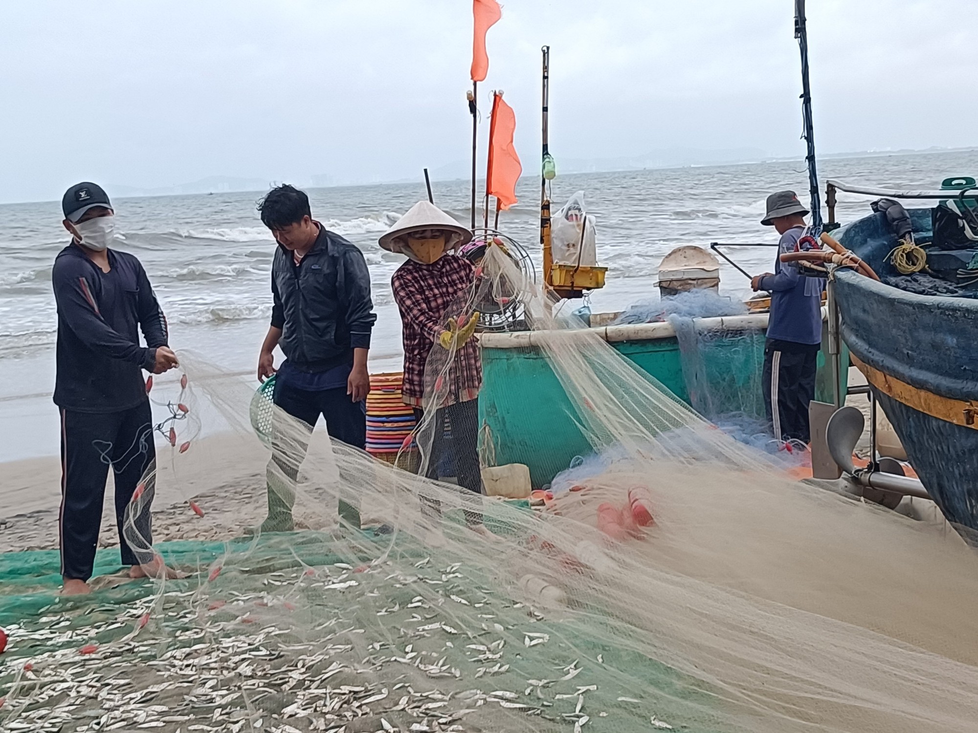 La liệt loài cá tươi rói xuất lộ ở một vùng biển Bà Rịa-Vũng Tàu, dân kéo lưới bắt vô số, kiếm khối tiền - Ảnh 1.