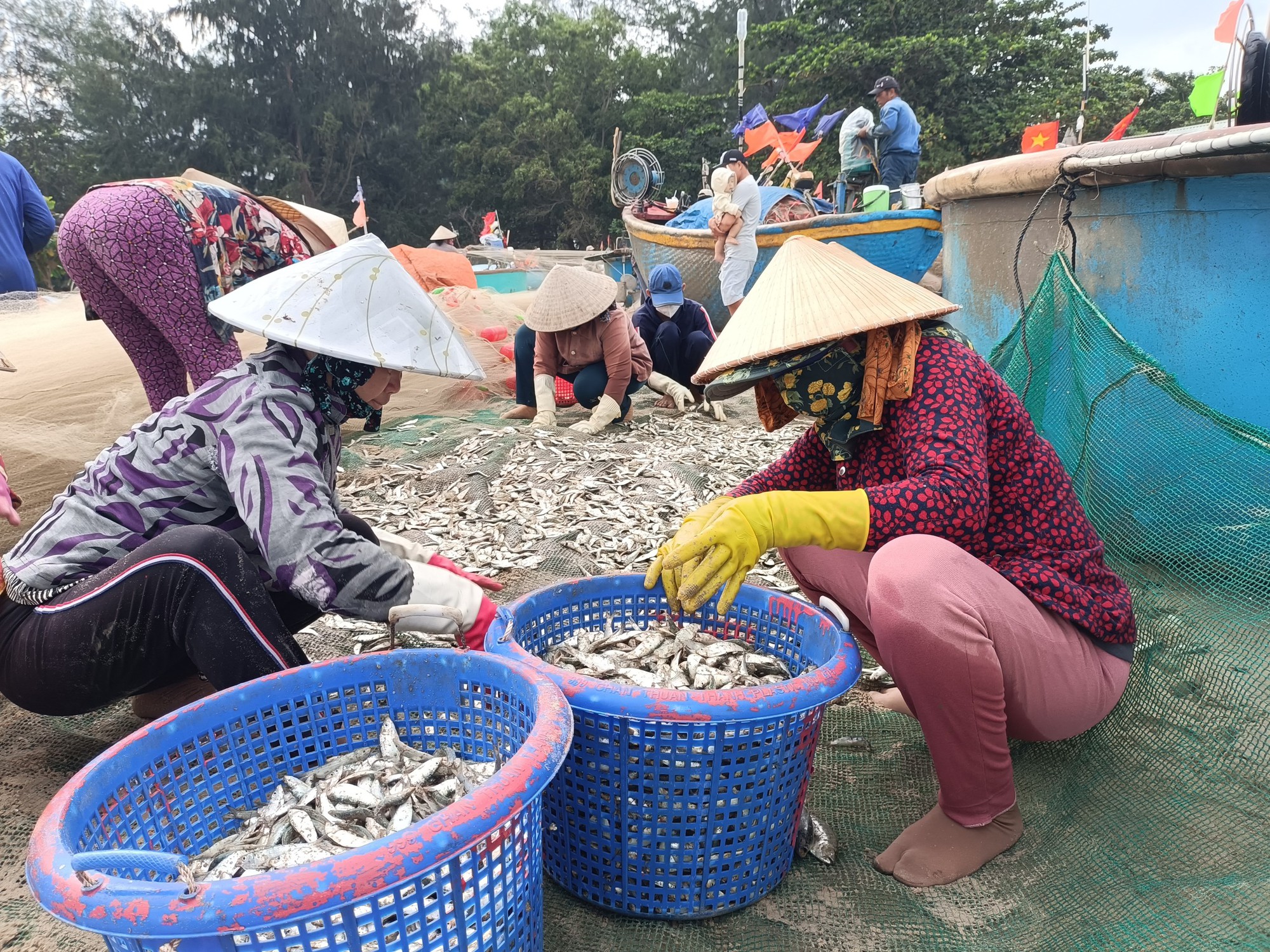 La liệt loài cá tươi rói xuất lộ ở một vùng biển Bà Rịa-Vũng Tàu, dân kéo lưới bắt vô số, kiếm khối tiền - Ảnh 2.
