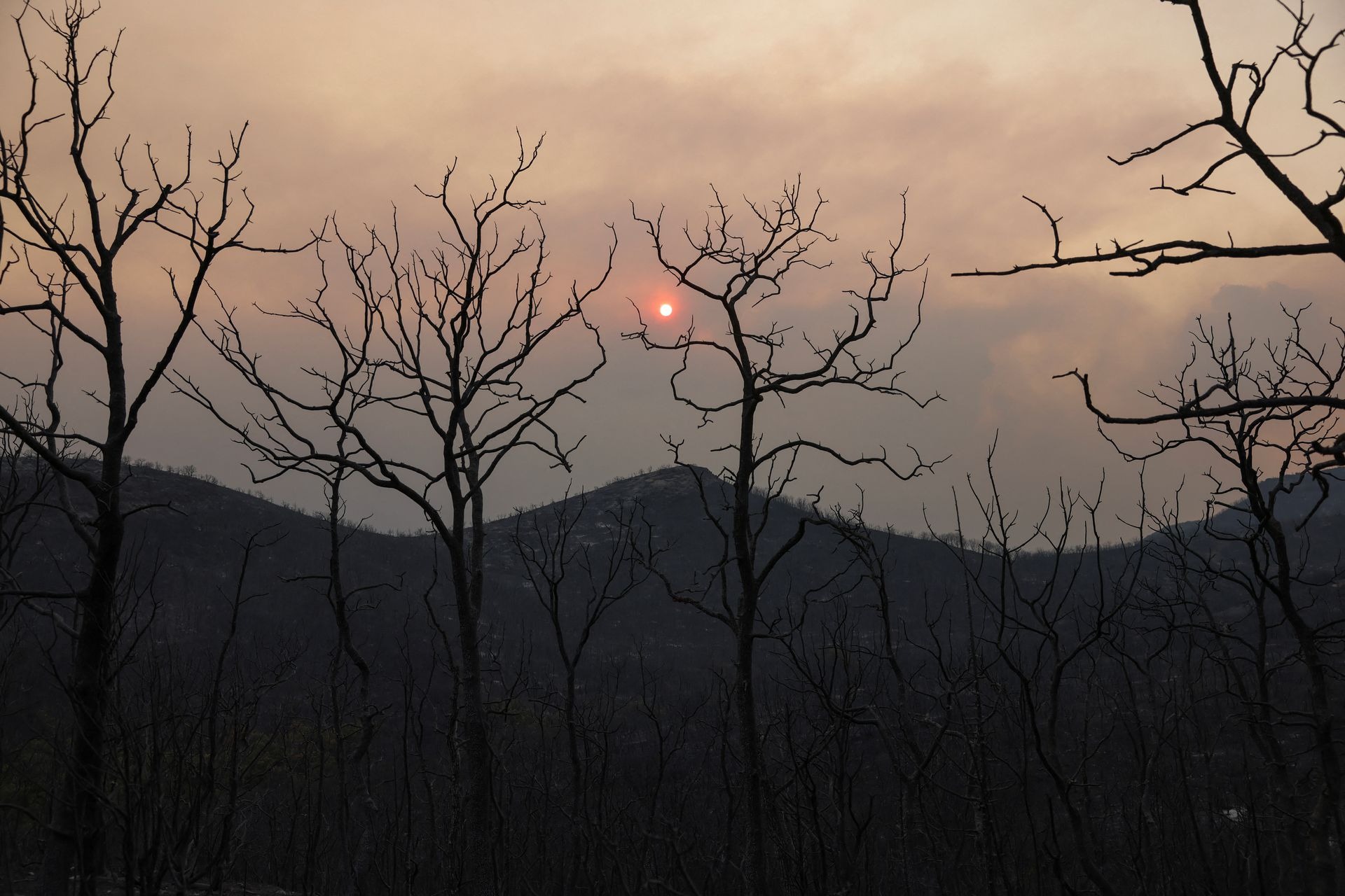 Những hình ảnh biết nói ở Hy Lạp về vụ &quot;cháy rừng lớn nhất EU&quot; - Ảnh 6.