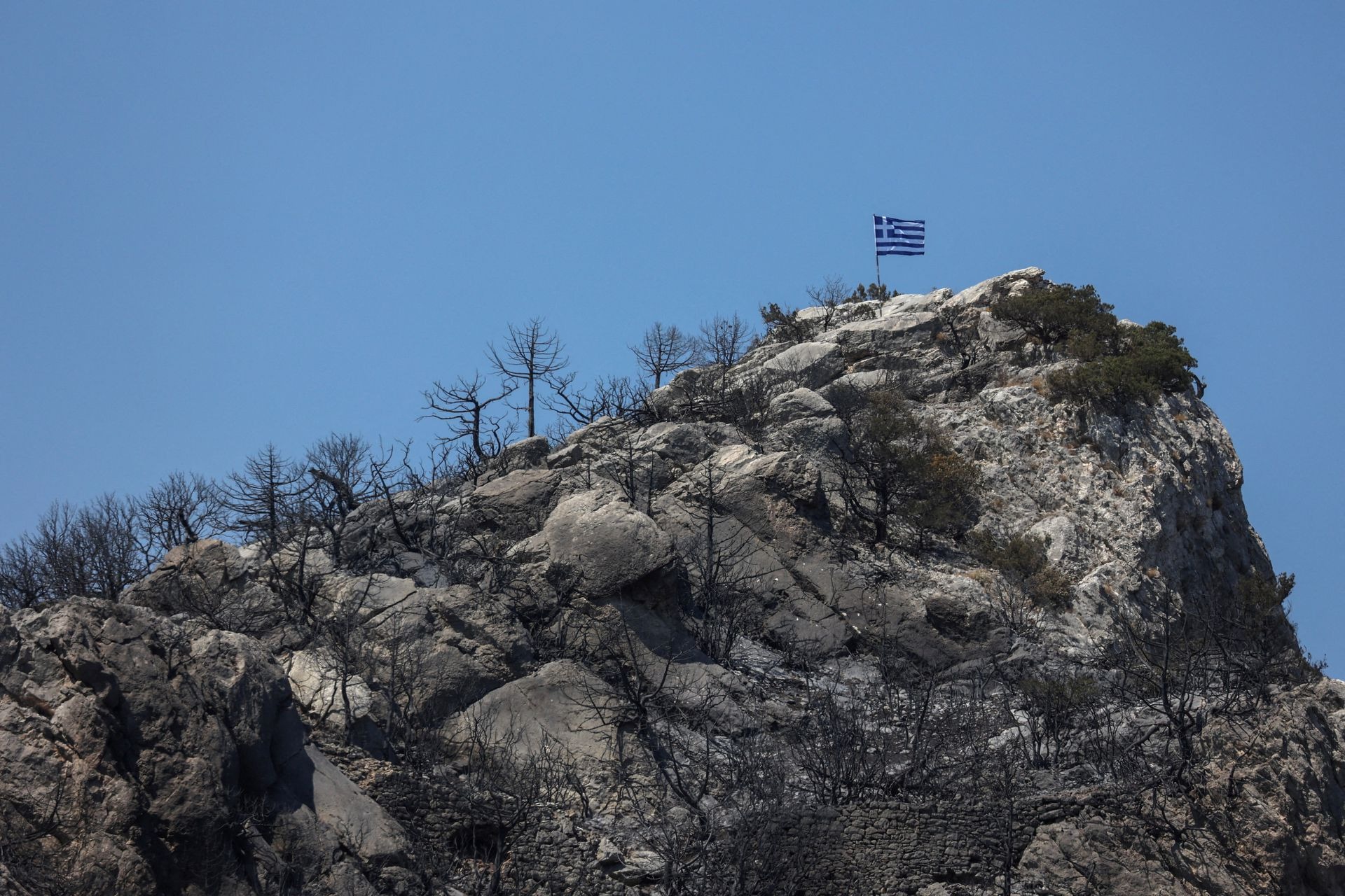 Những hình ảnh biết nói ở Hy Lạp về vụ &quot;cháy rừng lớn nhất EU&quot; - Ảnh 9.