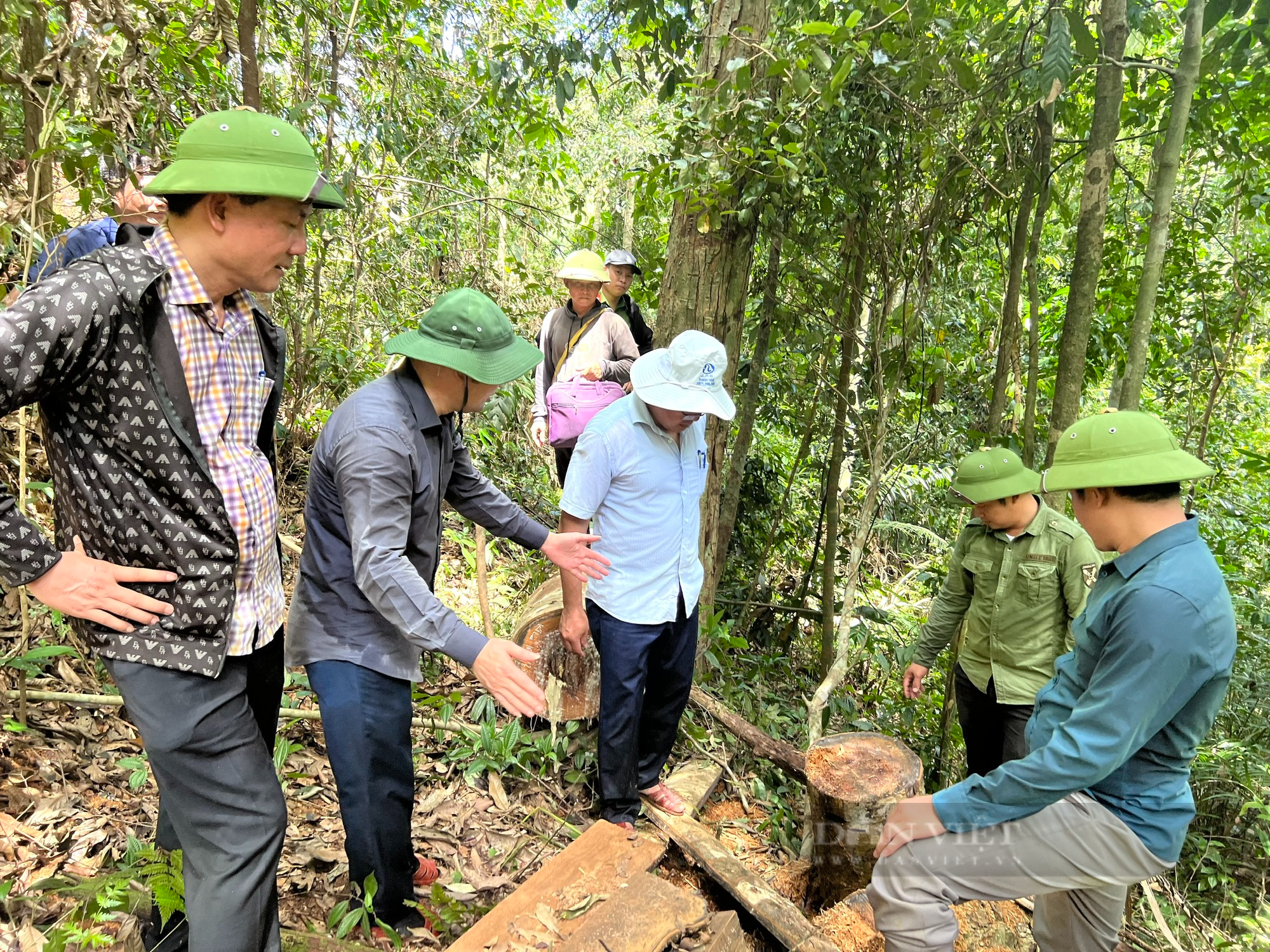 Thanh Hoá vận động người dân phát giác, tố giác đối tượng có hành vi khai thác rừng trái pháp luật - Ảnh 1.