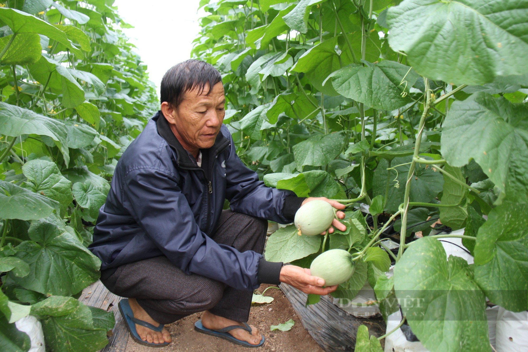 Đại hội đại biểu Hội Nông dân tỉnh Gia Lai: Thẳng thắn đánh giá ưu điểm và tồn tại - Ảnh 3.