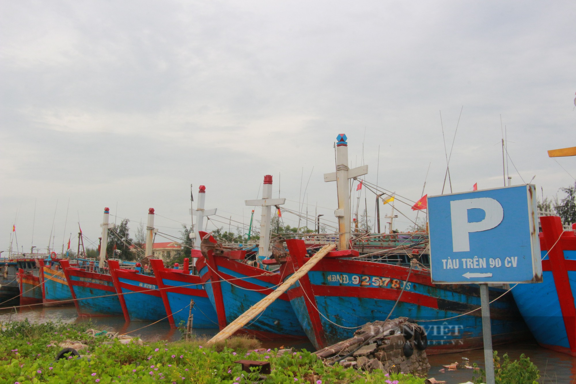 Chống khai thác IUU, tỉnh Nam Định xử phạt nhiều tàu cá vi phạm pháp luật - Ảnh 1.