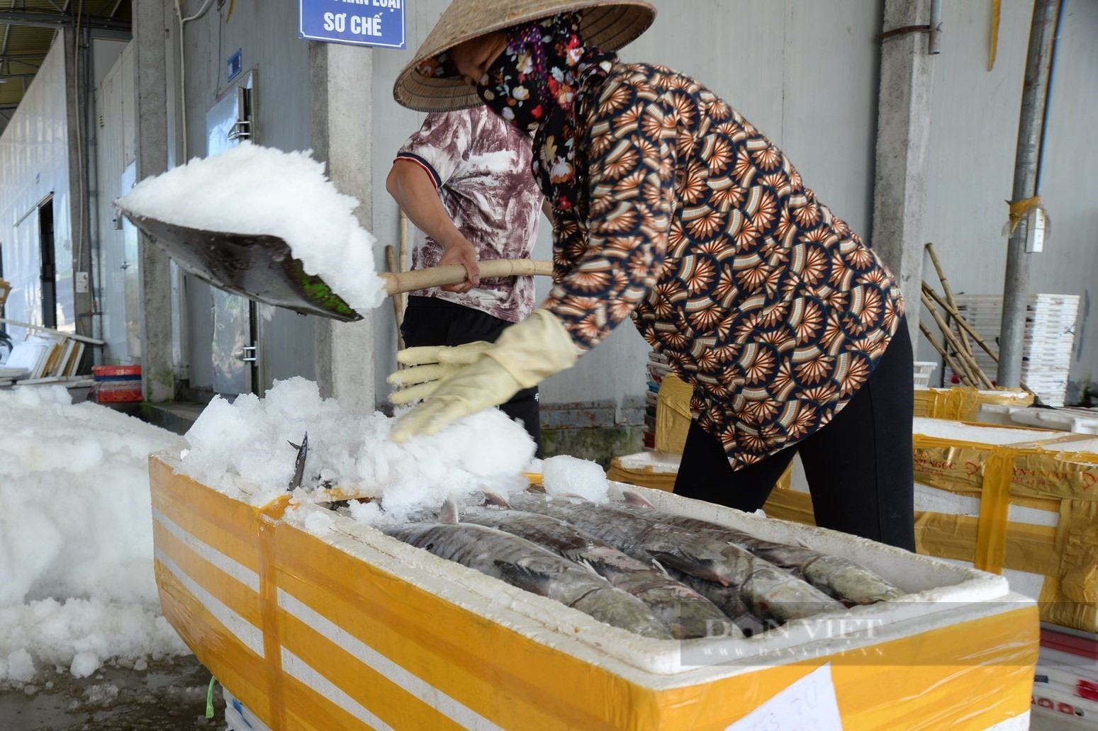Chống khai thác IUU, tỉnh Nam Định xử phạt nhiều tàu cá vi phạm pháp luật - Ảnh 2.