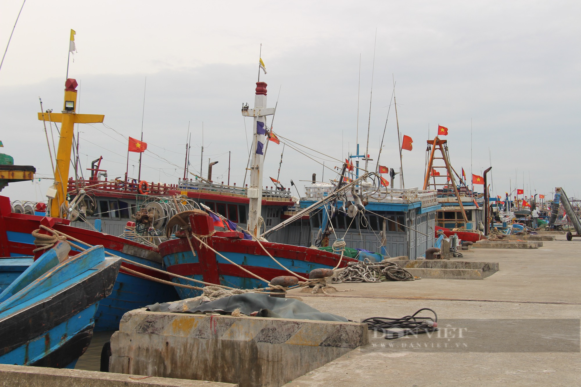 Chống khai thác IUU, tỉnh Nam Định xử phạt nhiều tàu cá vi phạm pháp luật - Ảnh 3.