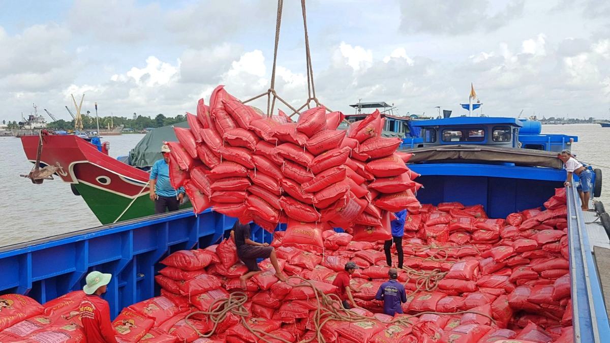 Giá gạo xuất khẩu Việt Nam vượt xa Thái Lan, thị trường &quot;nín thở&quot; đợi sản lượng vụ Hè Thu - Ảnh 1.