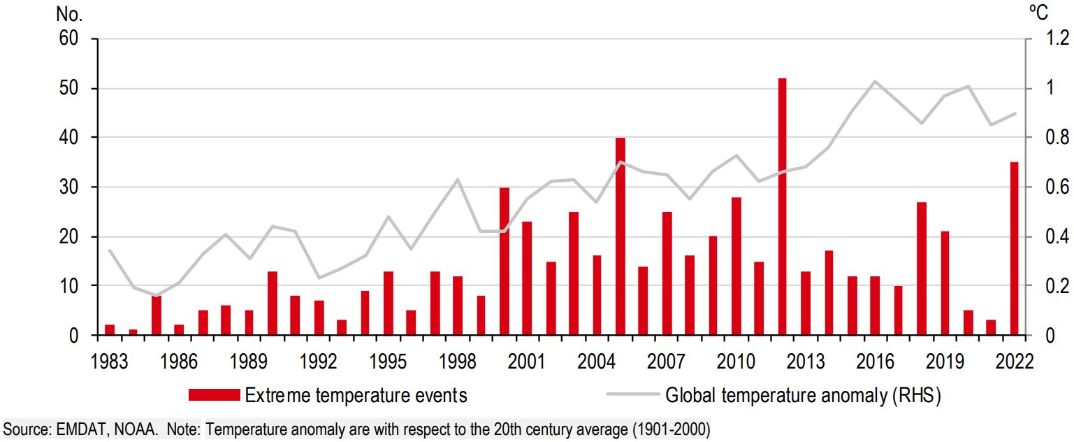 HSBC: Nắng nóng kỷ lục ở châu Âu, biến đổi khí hậu đe dọa nhấn chìm thiên đường Maldives - Ảnh 1.