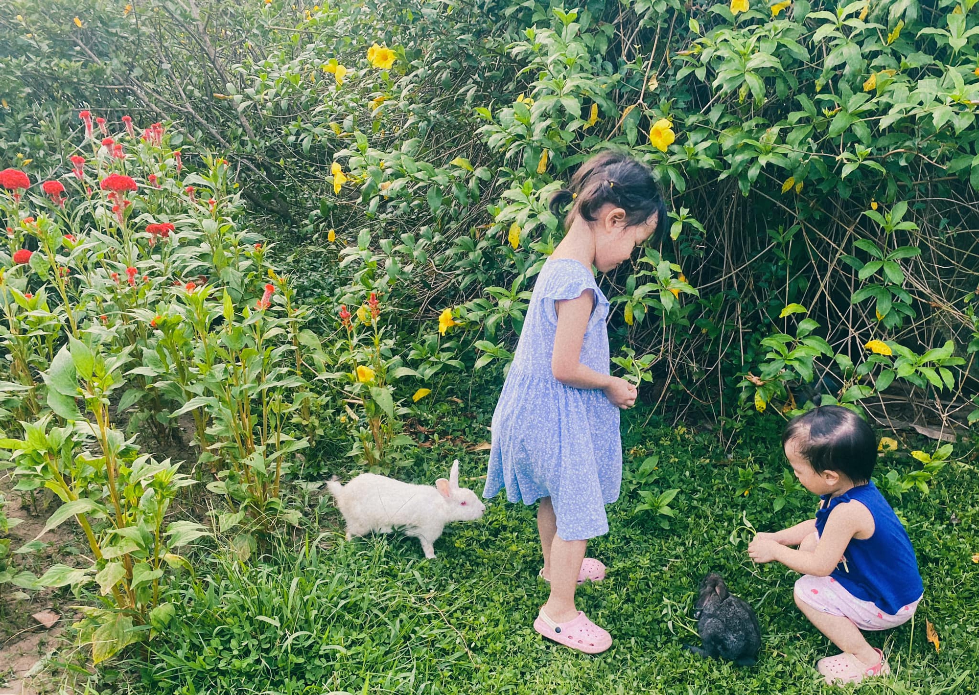 Ông bố kể chuyện tìm thấy nơi ở “định mệnh” cho cả gia đình sau một lần đi lạc - Ảnh 6.