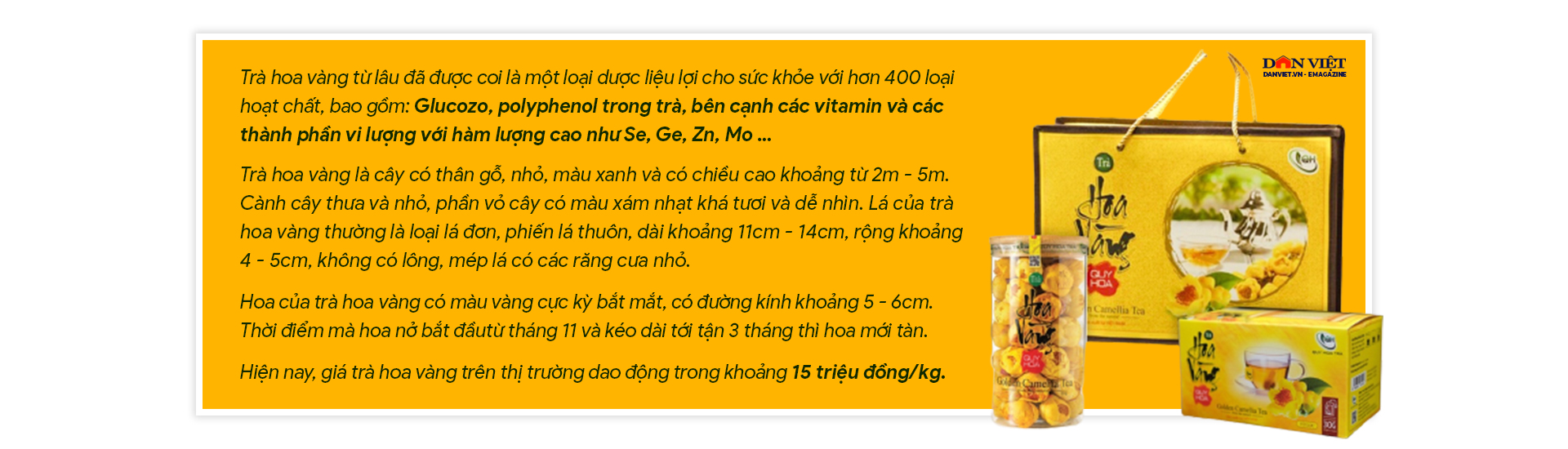 "Canh bạc" tất tay của người đưa "nữ hoàng trà" trở thành đặc sản vùng đất miền Đông Quảng Ninh- Ảnh 22.