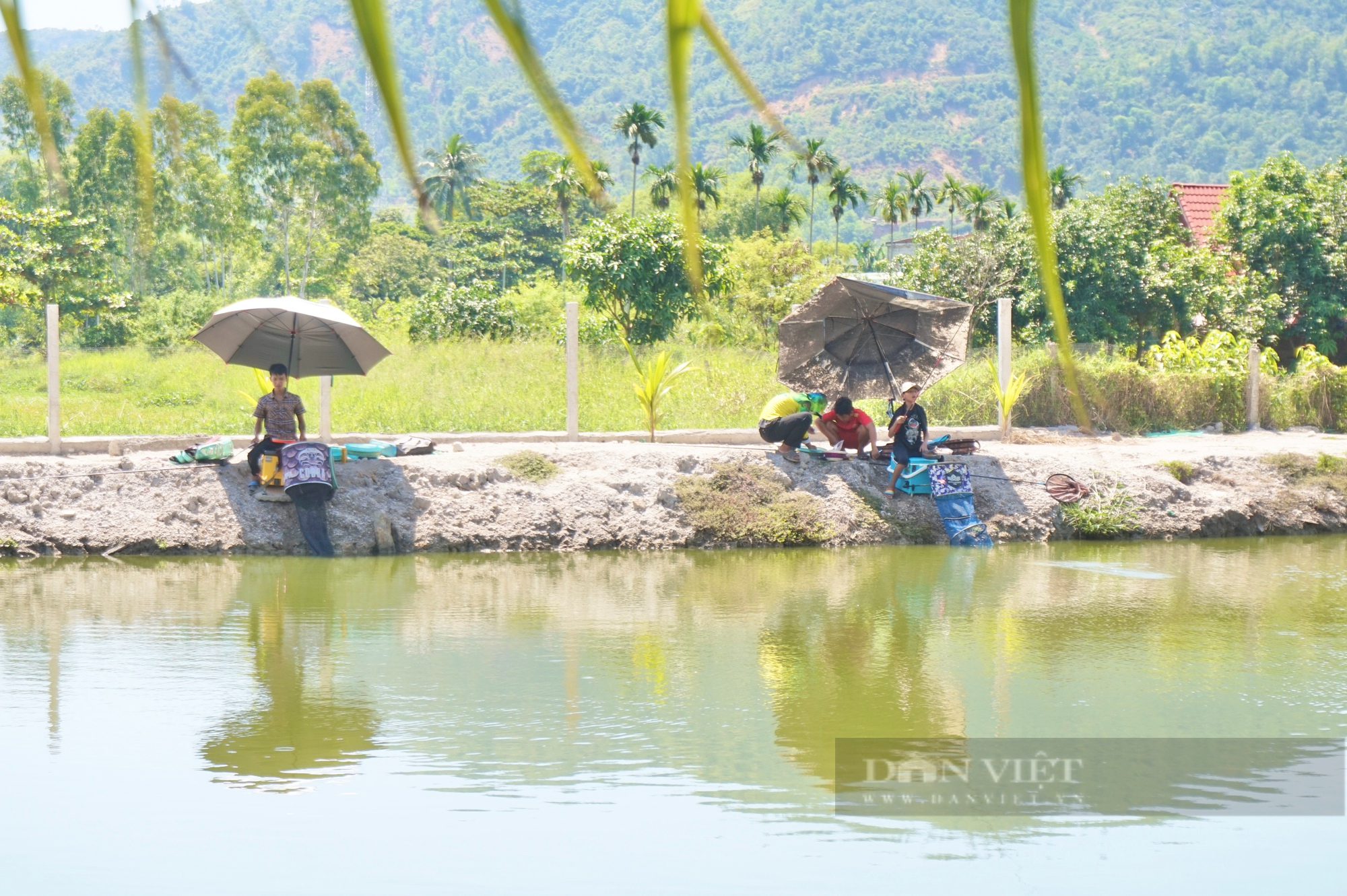 Nuôi đủ thứ con trên bờ, dưới ao, một nông dân ở Đà Nẵng thu lãi nửa tỷ đồng/năm - Ảnh 4.