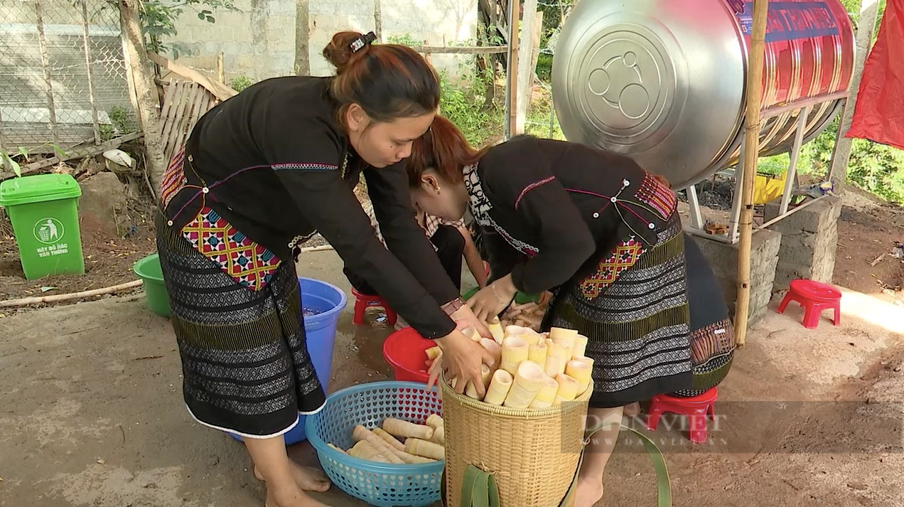 Sấy măng khô bằng năng lượng mặt trời, hướng giảm nghèo của phụ nữ Vân Kiều ở Quảng Trị - Ảnh 2.