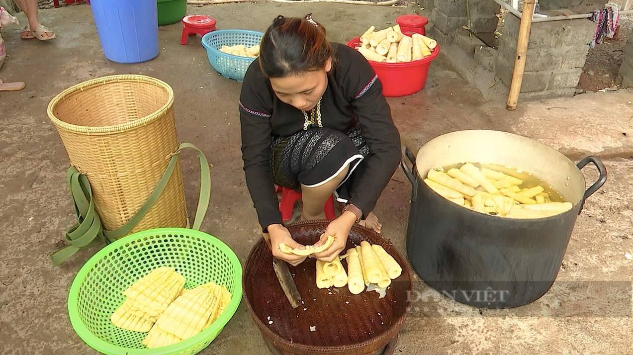 Sấy măng khô bằng năng lượng mặt trời, hướng giảm nghèo của phụ nữ Vân Kiều ở Quảng Trị - Ảnh 4.