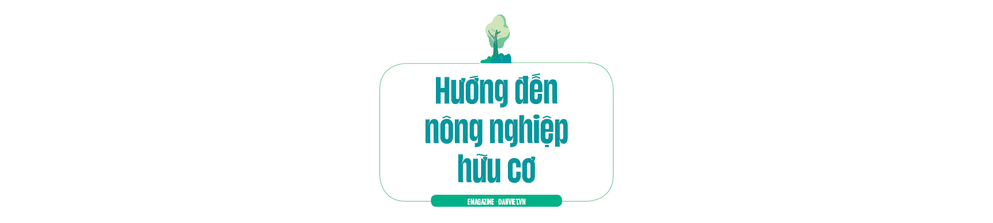 Trai 9X Lâm Đồng trồng 40ha cây ăn trái hữu cơ, được chọn là nông dân Việt Nam xuất sắc 2023 - Ảnh 4.