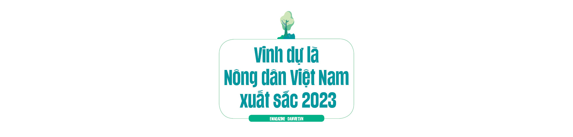 Trai 9X Lâm Đồng trồng 40ha cây ăn trái hữu cơ, được chọn là nông dân Việt Nam xuất sắc 2023 - Ảnh 7.