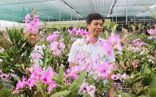 Trồng loại hoa “nữ hoàng” ở xã nông thôn mới, nhiều ông nông dân Sài Gòn thu tiền tỷ, nghe phát ham - Ảnh 4.