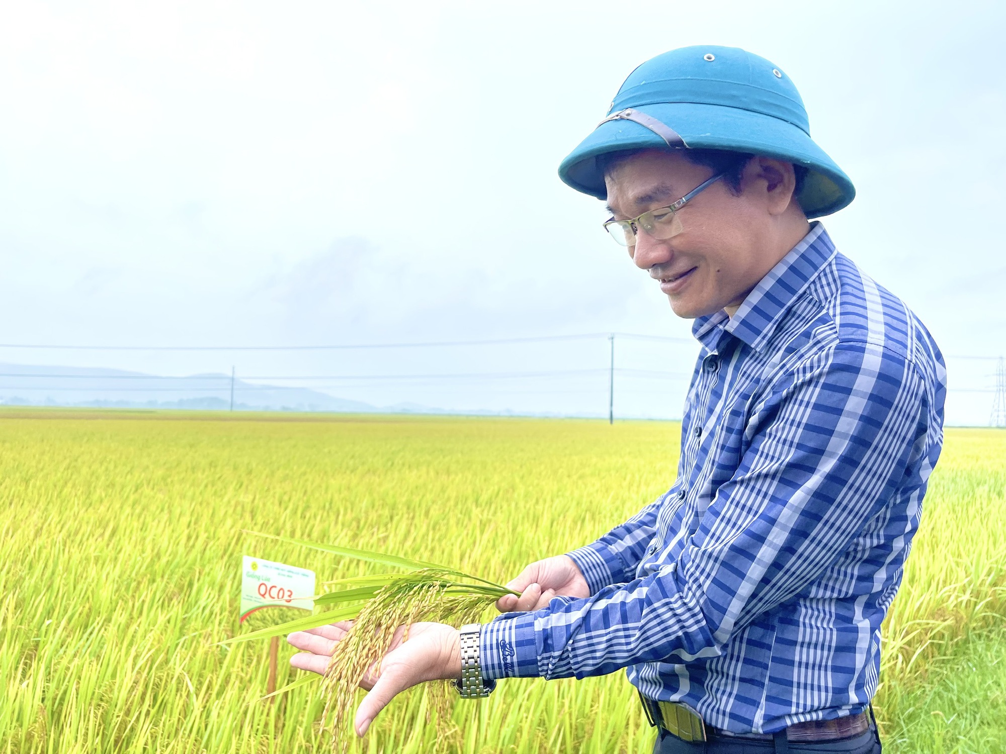 Quảng Bình: Nông dân thăm đồng, ngỡ ngàng với chất lượng, năng suất cao của giống lúa mới này - Ảnh 4.