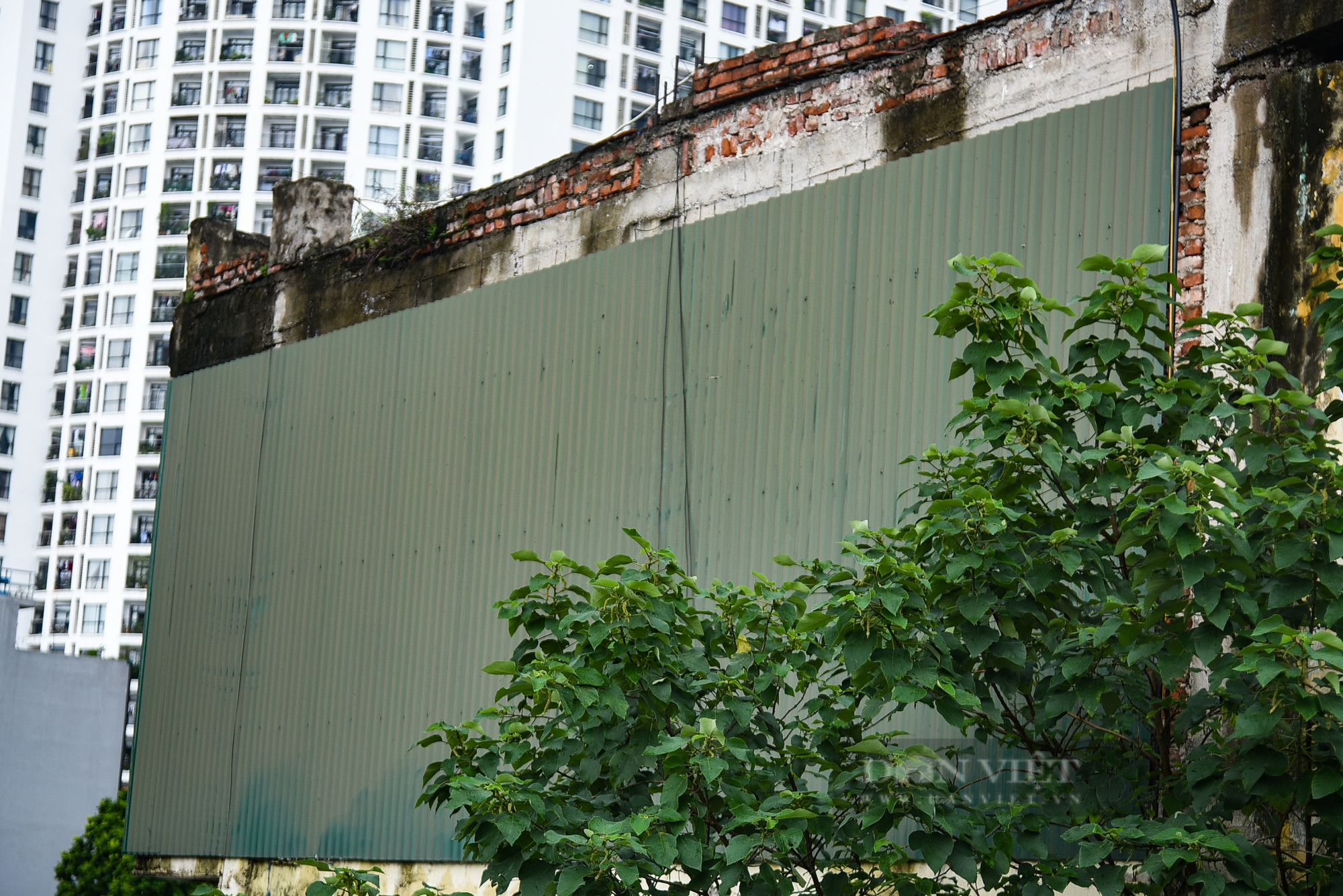 Hình ảnh hoang tàn, xuống cấp nghiêm trọng của dự án nằm ở khu đắc địa bậc nhất quận Thanh Xuân  - Ảnh 5.