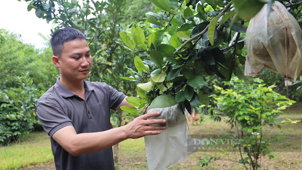 Một nông dân làm du lịch nông nghiệp ở Sơn La trở thành &quot;Nông dân Việt Nam xuất sắc 2023&quot; - Ảnh 2.