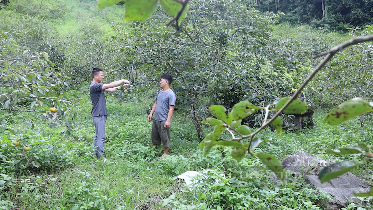 Một nông dân làm du lịch nông nghiệp ở Sơn La trở thành &quot;Nông dân Việt Nam xuất sắc 2023&quot; - Ảnh 4.