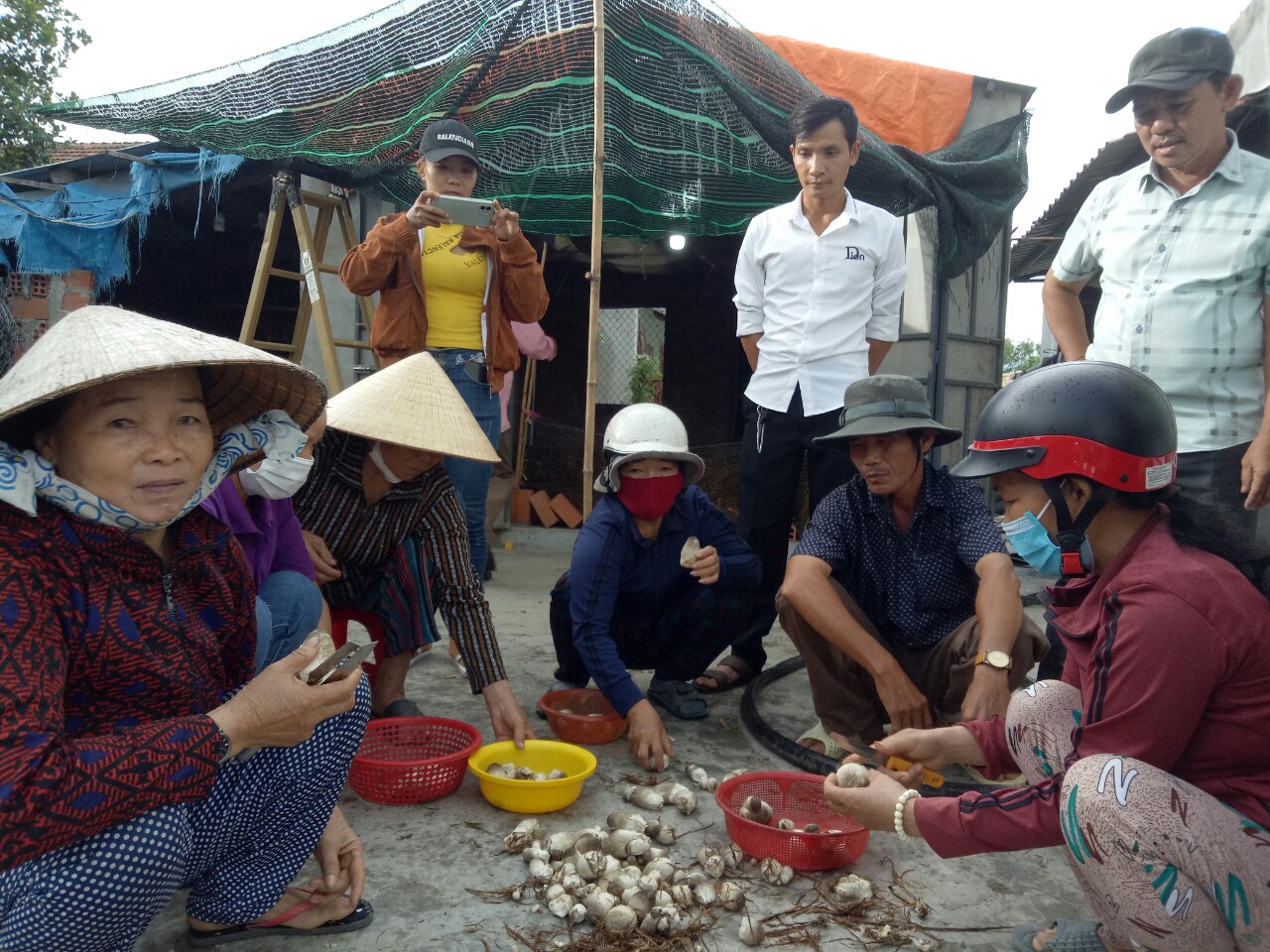 Trồng nấm giỏi, một nông dân ở Bình Định được mời làm giảng viên dạy nghề trồng nấm - Ảnh 2.