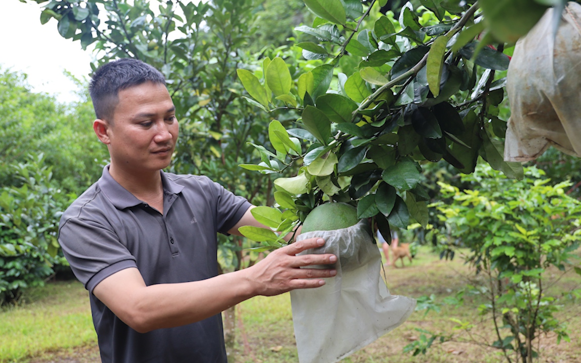 Nông dân Việt Nam xuất sắc 2023 đến từ Sơn La là một người làm du lịch nông nghiệp, vườn đẹp như phim