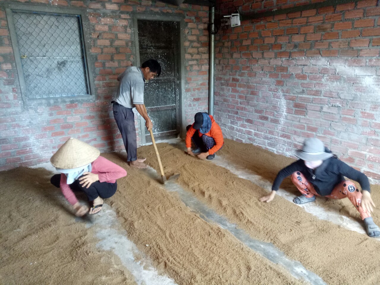 Trồng nấm giỏi, một nông dân ở Bình Định được mời làm giảng viên dạy nghề trồng nấm - Ảnh 4.