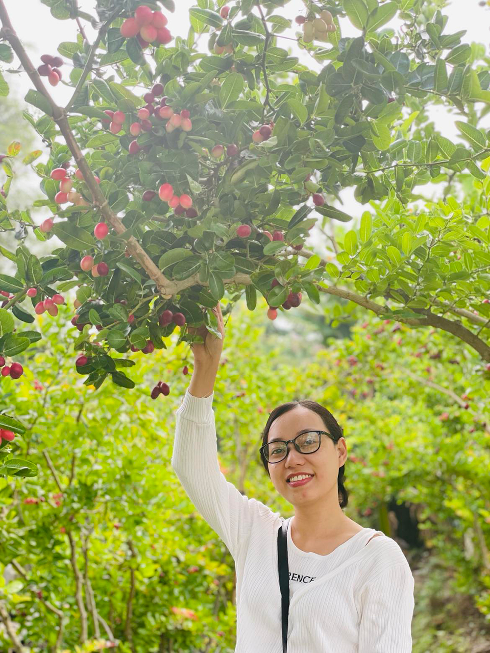Vườn ở An Giang trồng thứ cây ra trái đẹp như mơ, trông như cây cảnh đang hot, quả ăn ai cũng ham - Ảnh 19.