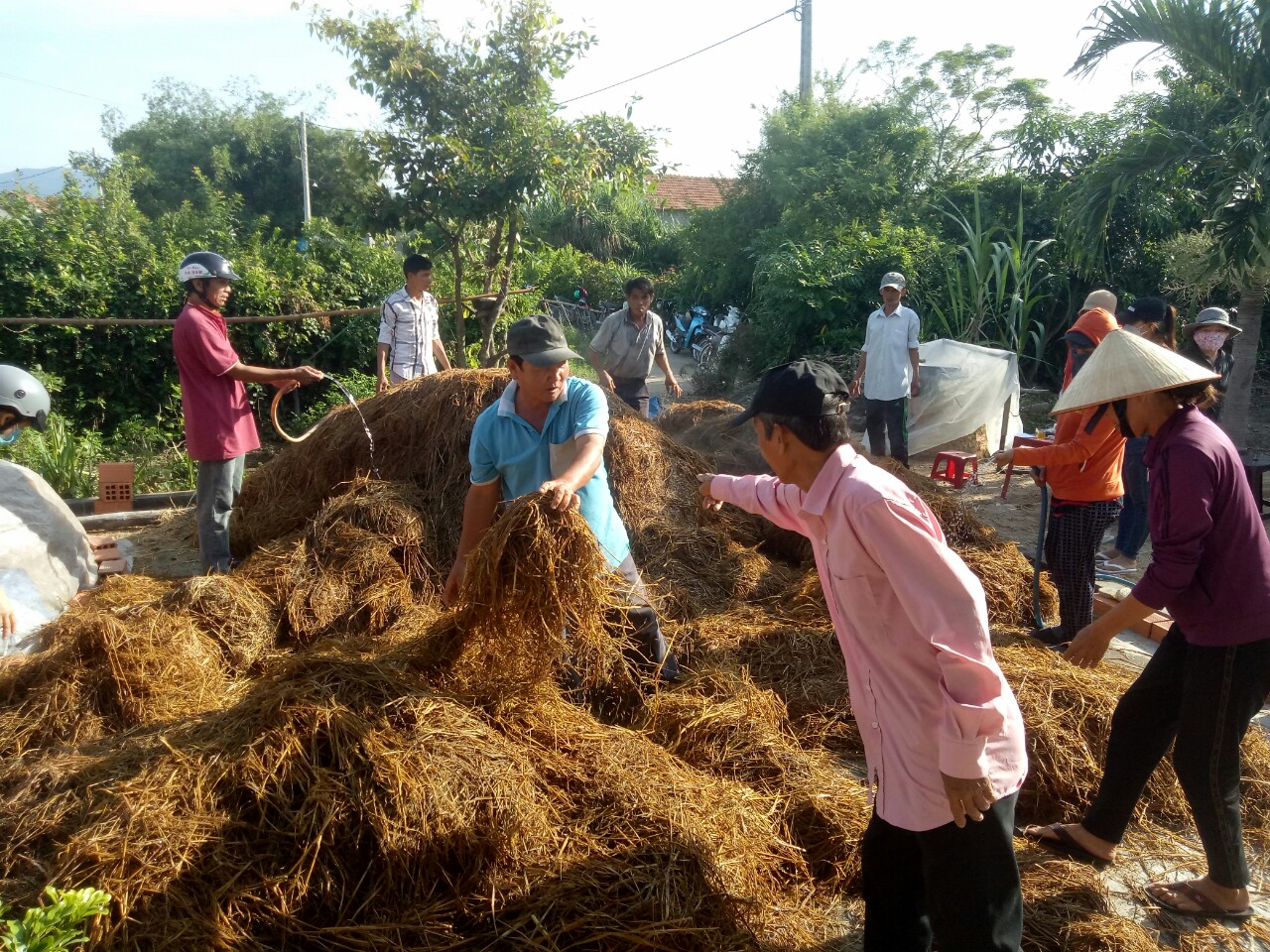Trồng nấm giỏi, một nông dân ở Bình Định được mời làm giảng viên dạy nghề trồng nấm - Ảnh 1.