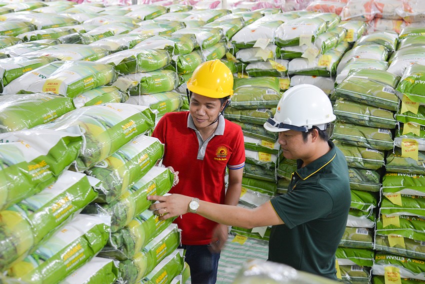 Giá gạo xuất khẩu tăng, vui nhưng cần tính kỹ - Ảnh 1.