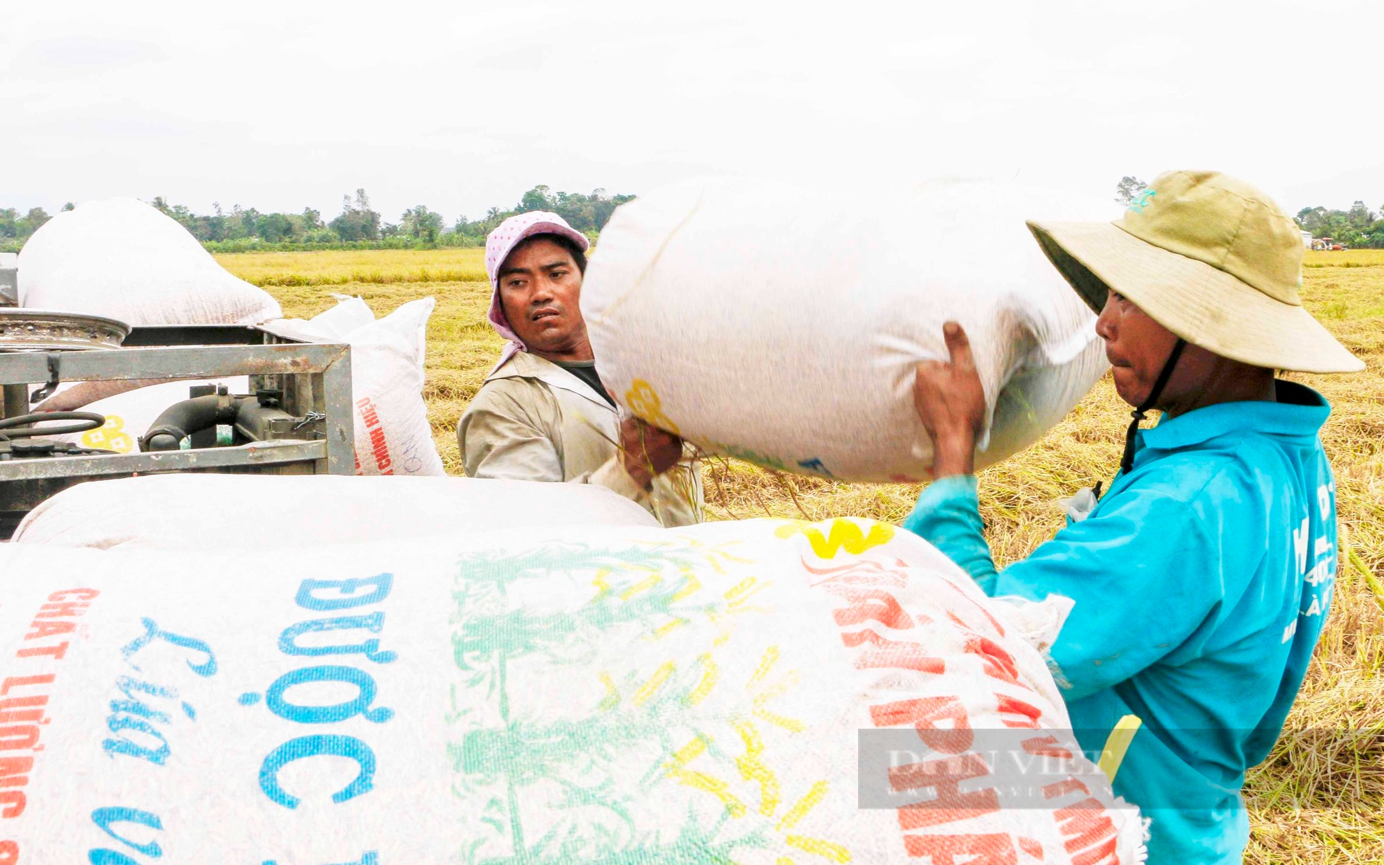 VCCI "tố" giấy phép con của Bộ Công Thương khiến gạo Việt đắt đỏ, doanh nghiệp phải chi 5 USD/tấn gạo để được xuất khẩu