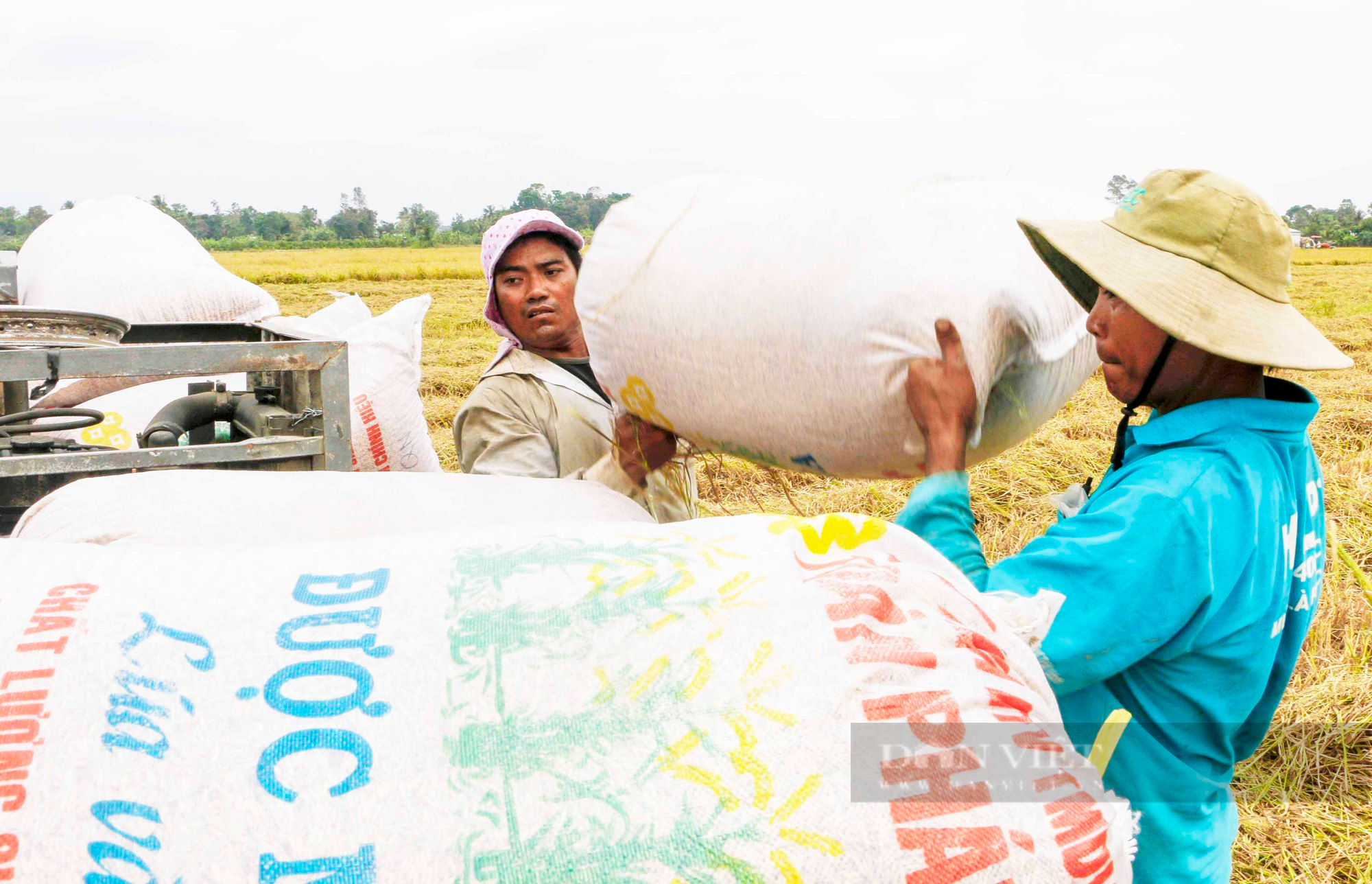 VCCI &quot;tố&quot; giấy phép con của Bộ Công Thương khiến gạo Việt đắt đỏ, doanh nghiệp phải chi 5 USD/tấn gạo để được xuất khẩu - Ảnh 1.