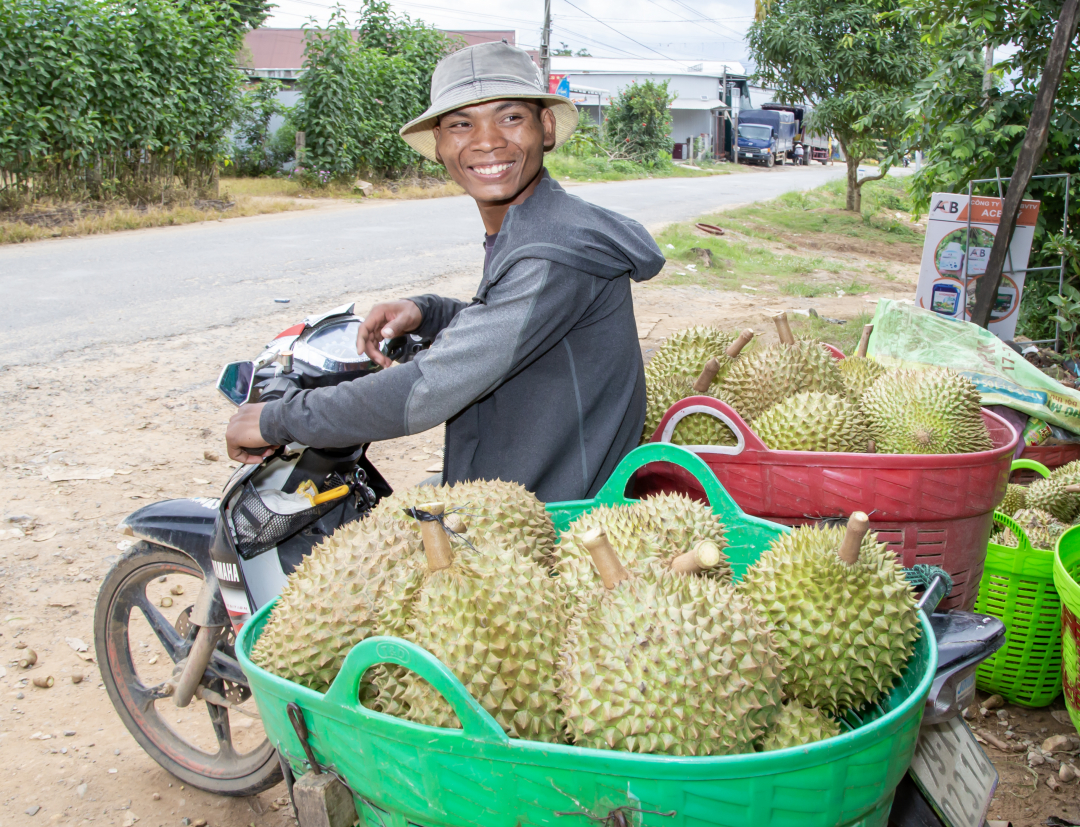 Khánh Sơn: Mùa sầu riêng thơm nồng - Ảnh 2.