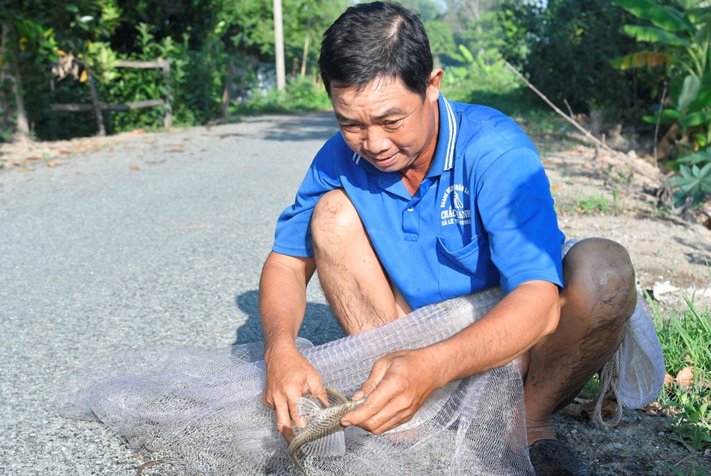 An Giang: Về miền Tây, đi chài cá &quot;thập cẩm&quot;, trải nghiệm cuộc &quot;đấu trí&quot; với lũ cá trong kênh - Ảnh 9.