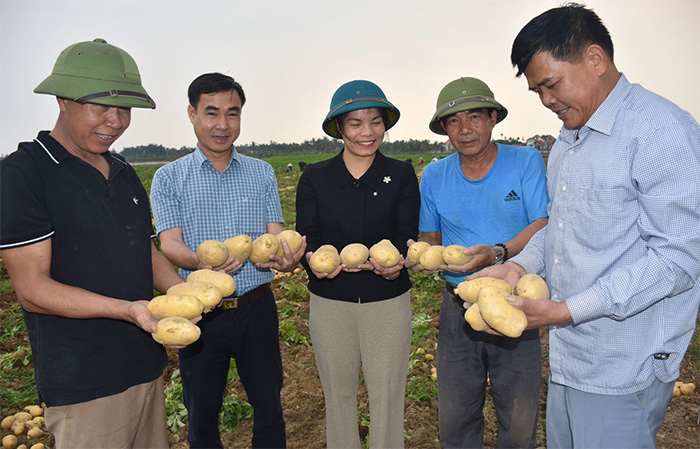 Liên kết trong sản xuất nông nghiệp, thúc đẩy xây dựng nông thôn mới ở Minh Hòa - Ảnh 1.