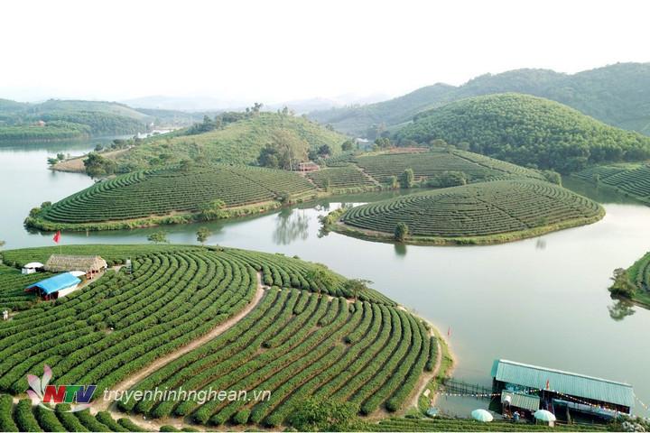 Vùng đảo này ở Nghệ An không ở ngoài biển mà ở miền núi, đẹp như mơ, người ta đang lên xem - Ảnh 2.