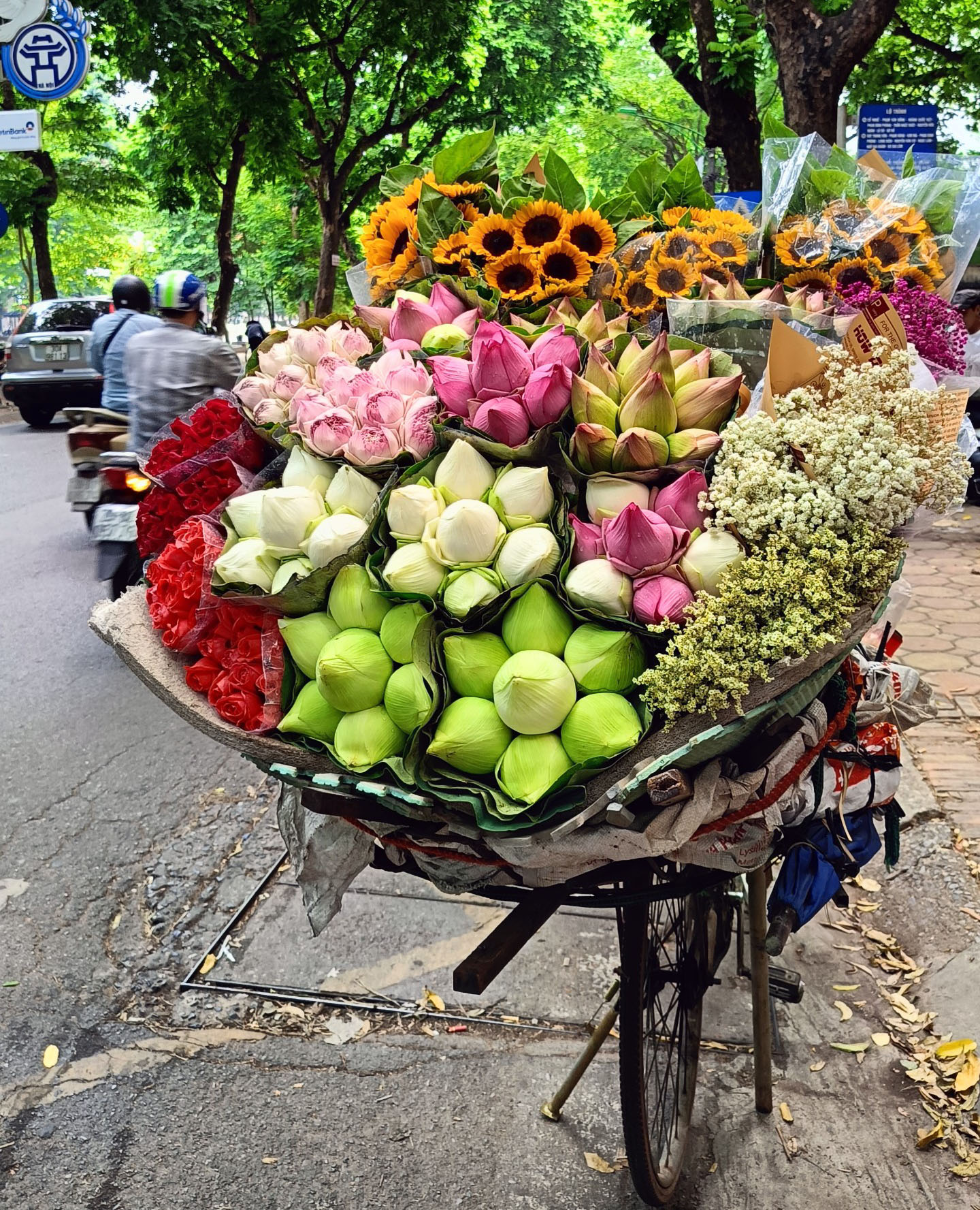 Ký ức Hà Nội: Say đắm hương sắc Hà thành - Ảnh 1.