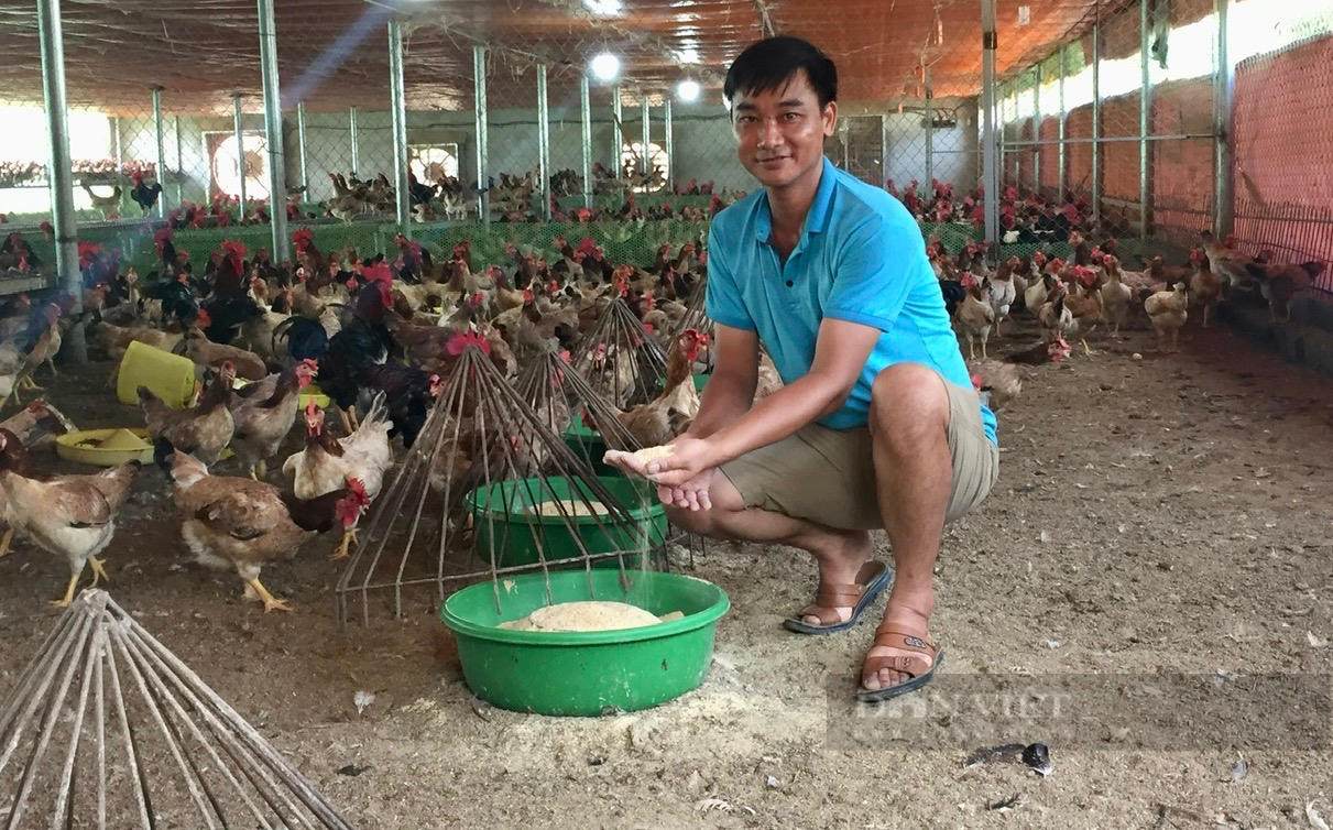 Nuôi gà giỏi có doanh thu 10 tỷ đồng, một nông dân Hà Nội được Thủ tướng Chính phủ tặng Bằng khen - Ảnh 2.