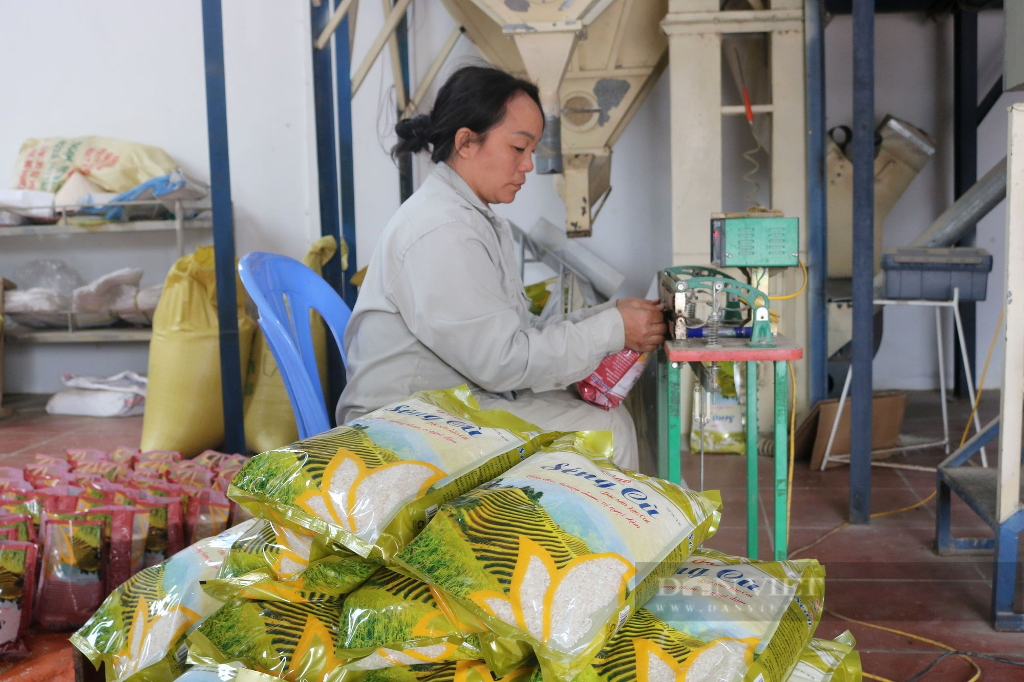 Đưa nông sản huyện vùng biên Lào Cai lên sàn thương mại điện tử - Ảnh 5.