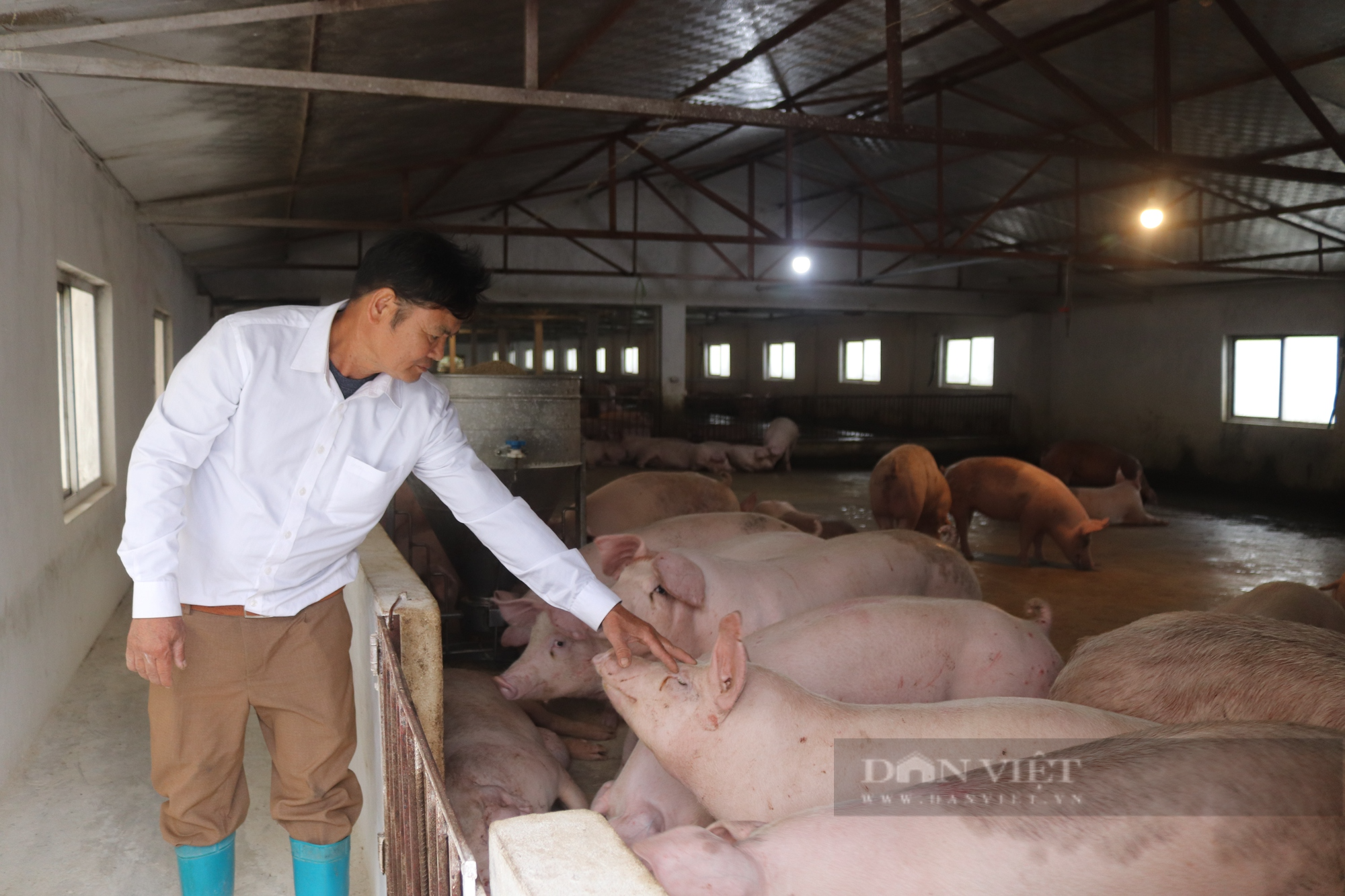 Hội Nông dân tỉnh Hòa Bình hoàn thành và vượt nhiều chỉ tiêu Nghị quyết Đại hội nhiệm kỳ 2018 - 2023 - Ảnh 5.