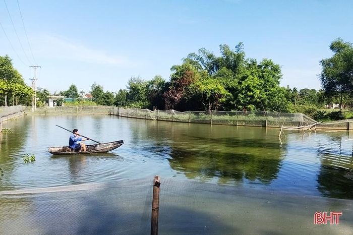 Loài cá có thịt thơm ngon, xương mềm như sụn, có giá trị dinh dưỡng cao, dễ nuôi mà thu lãi lớn - Ảnh 1.