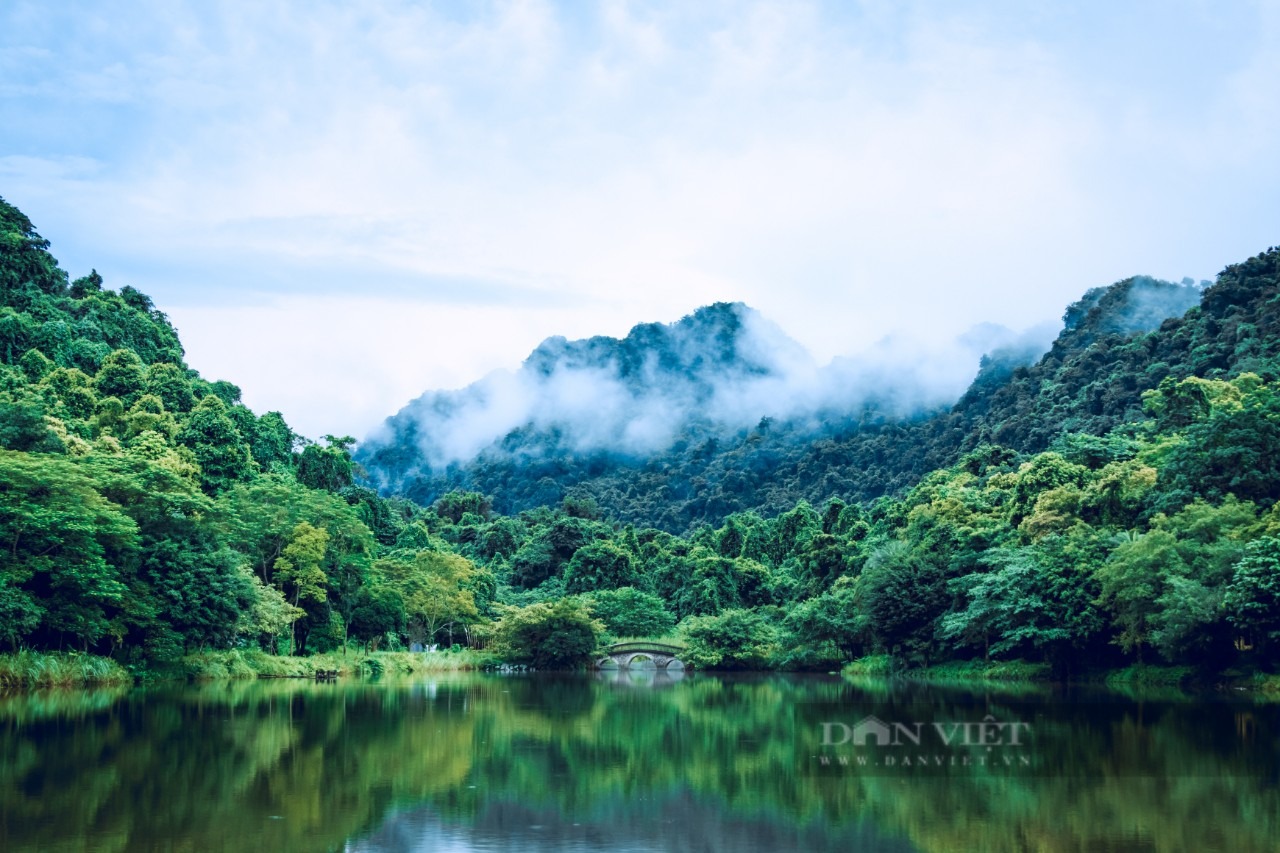 Cúc Phương: Vườn quốc gia hàng đầu châu Á năm 2023 - Ảnh 2.