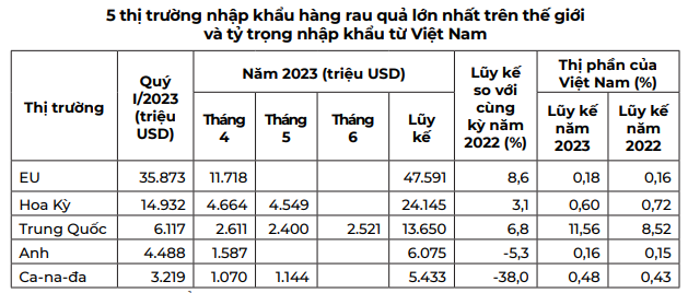 Thị phần hàng rau quả của Việt Nam tại hầu hết các thị trường nhập khẩu lớn đang &quot;bùng nổ&quot;, trừ Hoa Kỳ - Ảnh 5.