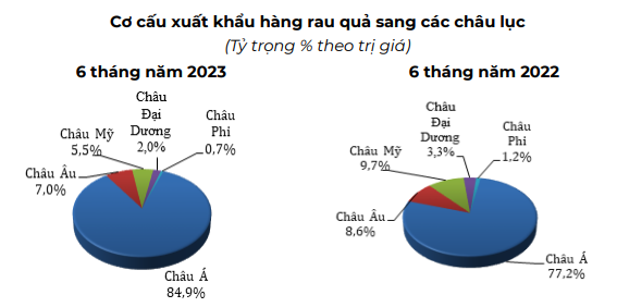 Thị phần hàng rau quả của Việt Nam tại hầu hết các thị trường nhập khẩu lớn đang &quot;bùng nổ&quot;, trừ Hoa Kỳ - Ảnh 3.