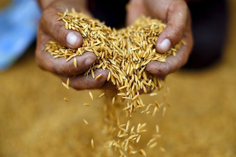 Thái Lan sẽ không hạn chế xuất khẩu gạo để tận dụng cơ hội - Ảnh 1.