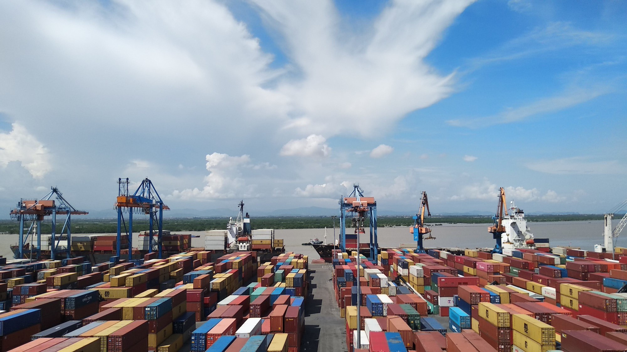Cảng Cát Lái vẫn còn hơn 1.000 container vô chủ tồn đọng - Ảnh 1.