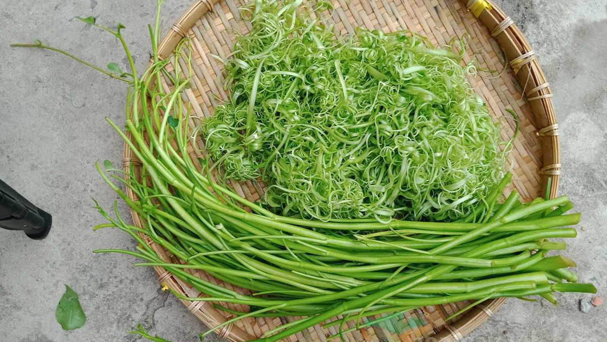 Loại rau được mệnh danh là rau &quot;quốc dân&quot; vì tần suất xuất hiện trên mâm cơm của người Việt, trồng được quanh năm - Ảnh 5.