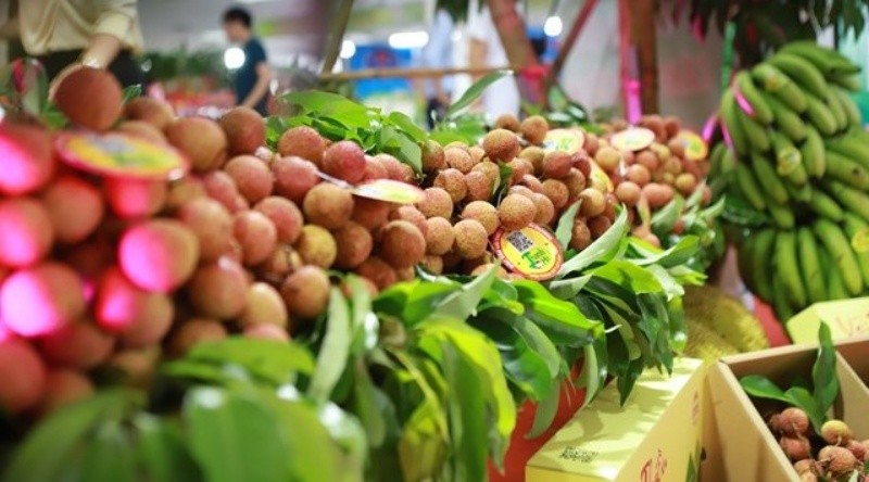 Thị phần hàng rau quả của Việt Nam tại hầu hết các thị trường nhập khẩu lớn đang &quot;bùng nổ&quot;, trừ Hoa Kỳ - Ảnh 1.