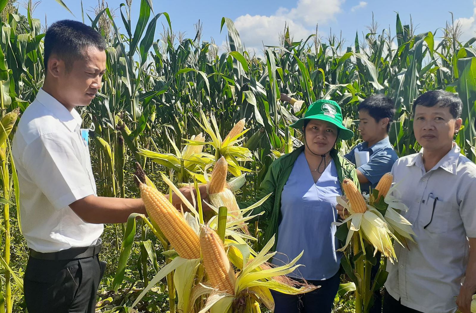 Doanh nghiệp cần hàng triệu tấn thức ăn chăn nuôi, tỉnh Gia Lai tổ chức mời gọi đầu tư vùng nguyên liệu - Ảnh 2.