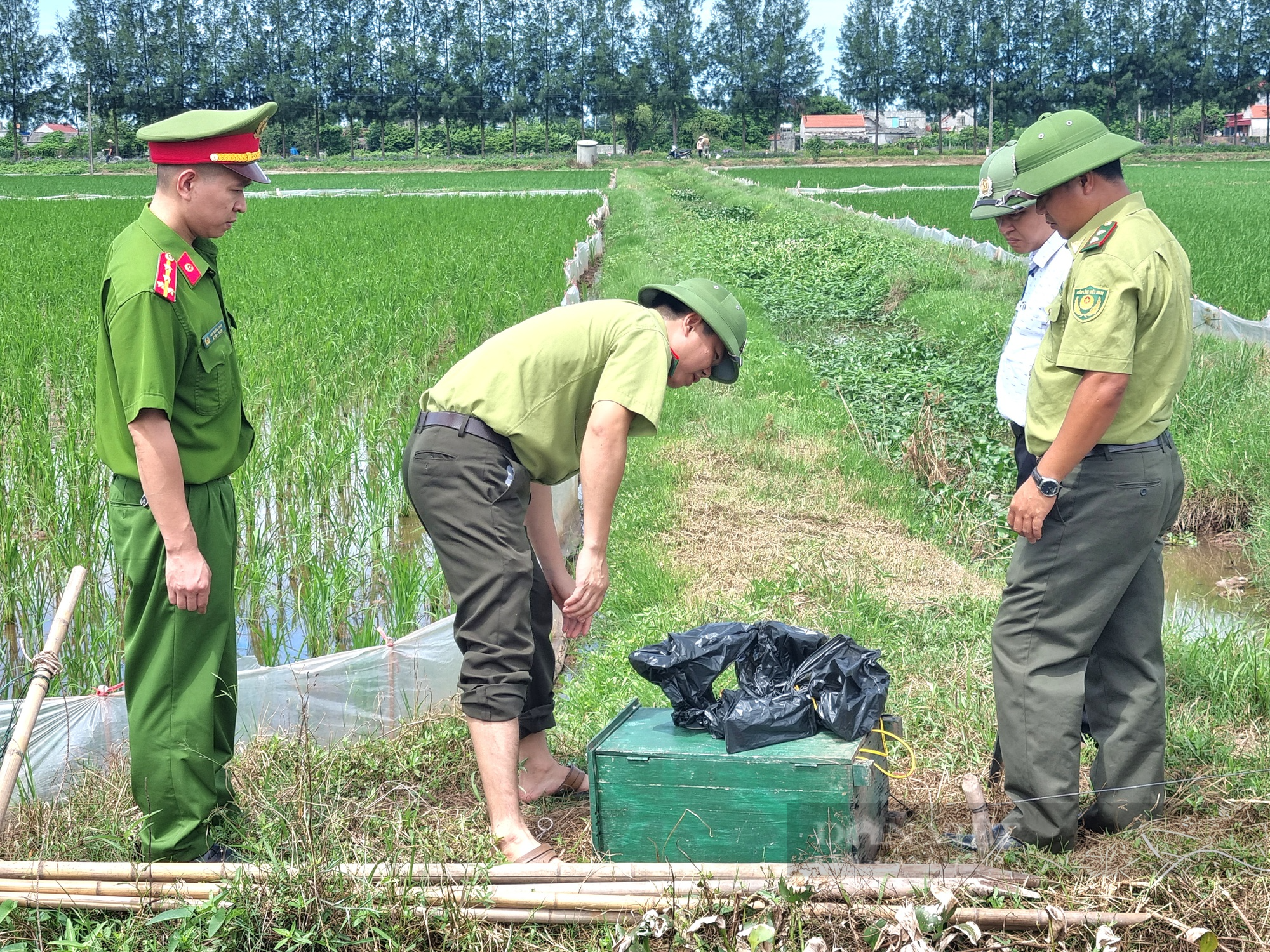 Ninh Bình: Liên tiếp tiêu hủy hàng trăm mét lưới, bộ loa âm ly dụ tiếng chim hoang dã sau phản ánh của Dân Việt - Ảnh 3.