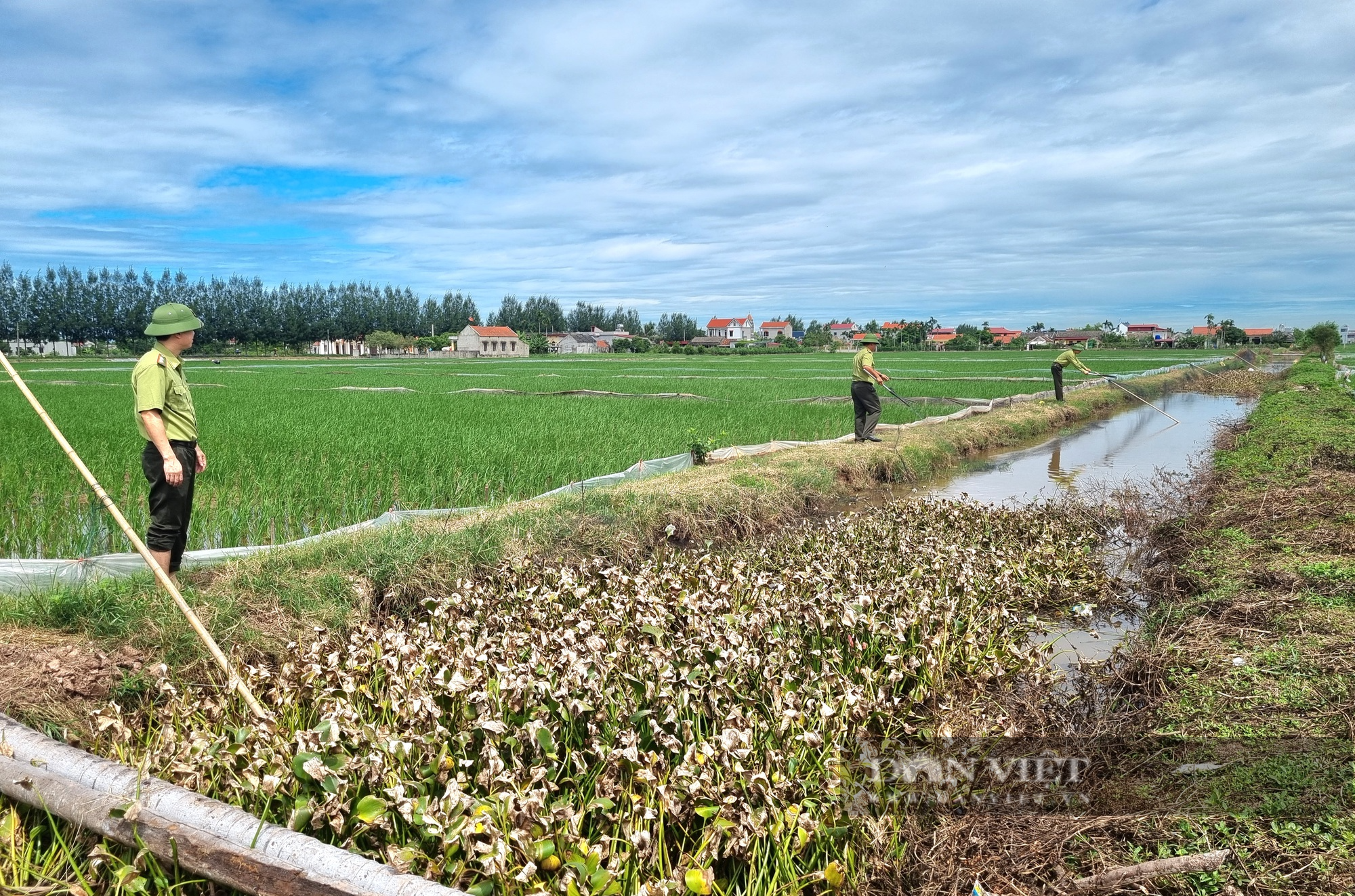 Ninh Bình: Liên tiếp tiêu hủy hàng trăm mét lưới, bộ loa âm ly dụ tiếng chim hoang dã sau phản ánh của Dân Việt - Ảnh 4.